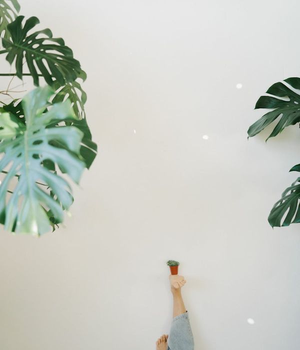 Serene meditation room with soft lighting and greenery